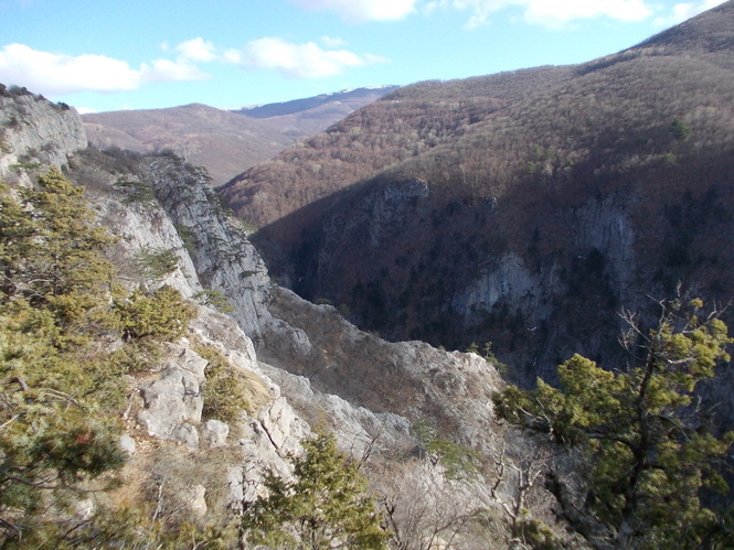 Вид на каньон со склонов г.Бойка